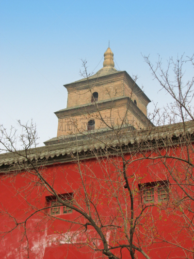 西安,宝塔,家畜,巨大的,野外动物,大雁塔,唐朝,陕西省,垂直画幅
