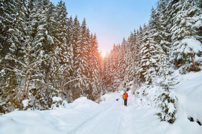 冬天,徒步旅行,雪,小路,森林,运动,从容态度,户外,高处,幸福