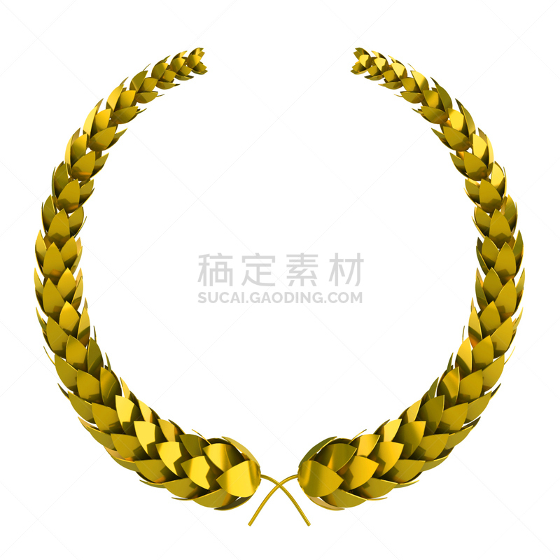 绘画插图,黄金,月桂树叶,三维图形,白色,分离着色,领导能力,档案,王冠,计算机制图