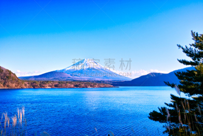 山,富士山,本栖湖,水,美,里山,水平画幅,林区,雪,无人