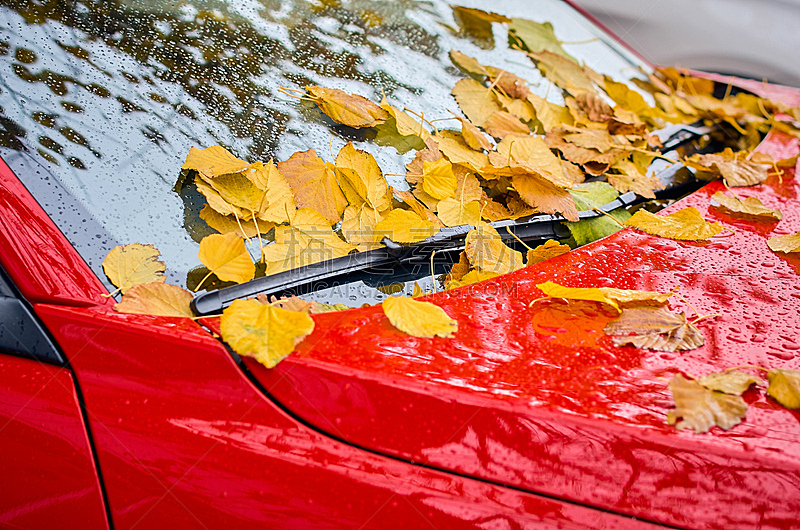 挡风玻璃,叶子,季节,秋天,枫树,概念,汽车,黄色,红松,运输