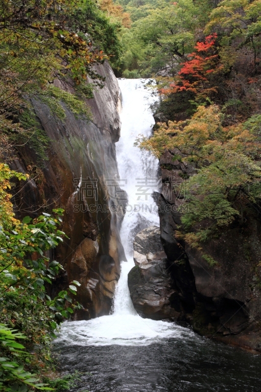 沟壑,叶子,秋天,红色,垂直画幅,水,里山,无人,户外,甲府市