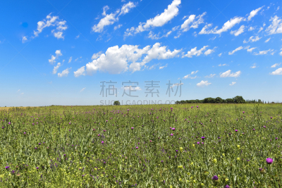 田地,农业,气候,环境,云,天气,巴塔哥尼亚,春天,农场,阿根廷