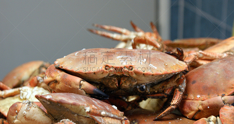 螃蟹,捕蟹,饮食,煮食,水平画幅,膳食,海产,户外,餐馆,晚餐