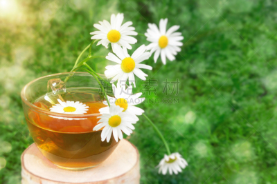 杯,背景,树桩,叶子,甘菊,白桦,太阳,透明,饮料,茶