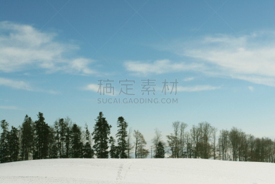 天空,雪,伯尔尼,寒冷,宁静,水平画幅,无人,户外,针叶树,瑞士