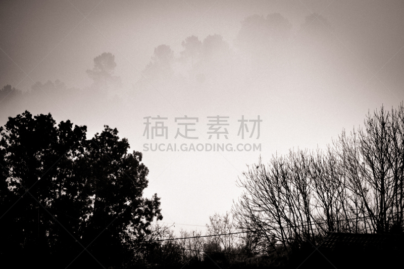 雾,森林,塞文山区,天空,美,水平画幅,云,无人,古老的,户外