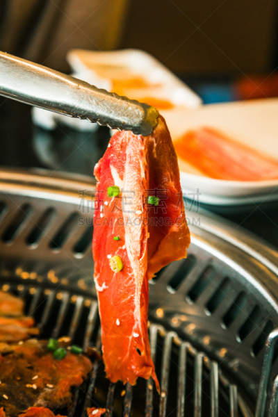 肉,蔬菜,食品,烤肉架,炊具,烧肉,韩式烧牛肉,烧烤猪肉,野餐烤牛肉,肉牛