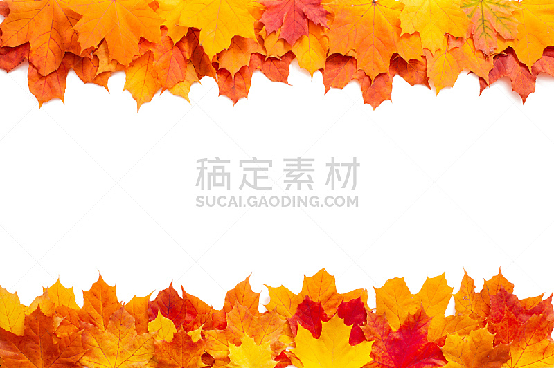 秋天,叶子,分离着色,自然,褐色,水平画幅,无人,九月,特写,红色