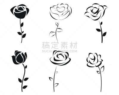 玫瑰,数字6,美术工艺,模板,植物,草图,绘画插图,植物茎,白色,创造力
