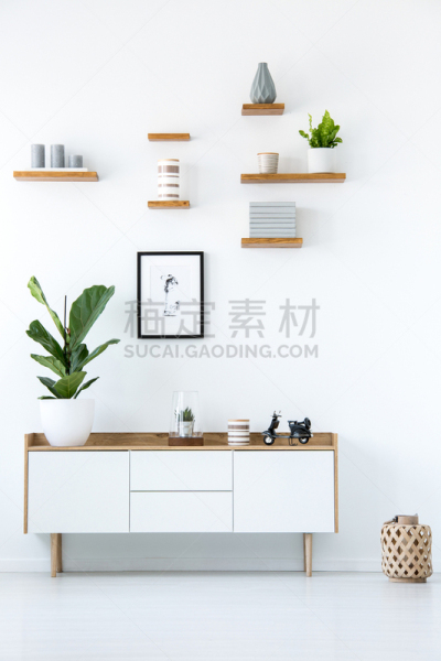 白色,植物,柜子,木制,公寓,室内,极简构图,摄影,写实