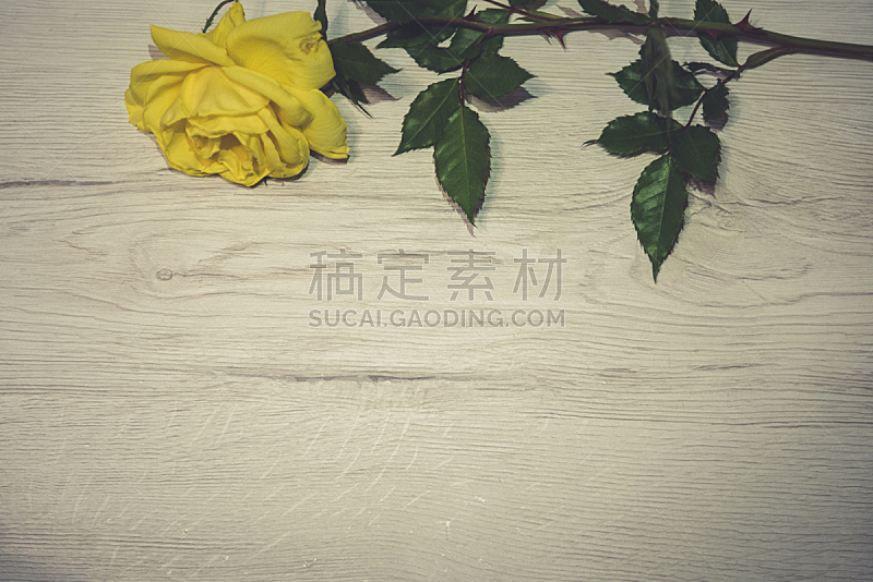 木制,玫瑰,黄色,白色,背景,美,留白,边框,水平画幅,情人节