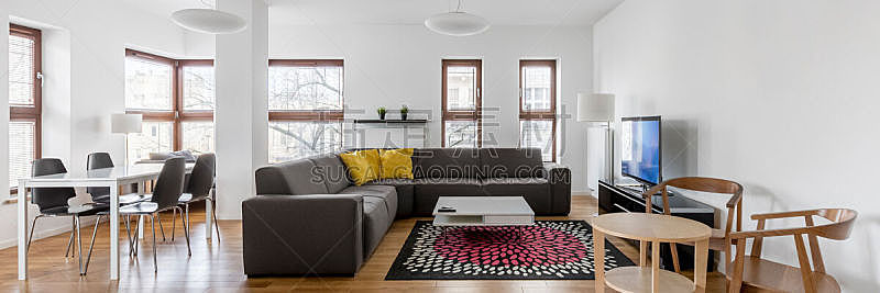 白色,桌子,起居室,电视机,小毯子,新的,水平画幅,椅子,灯,家具
