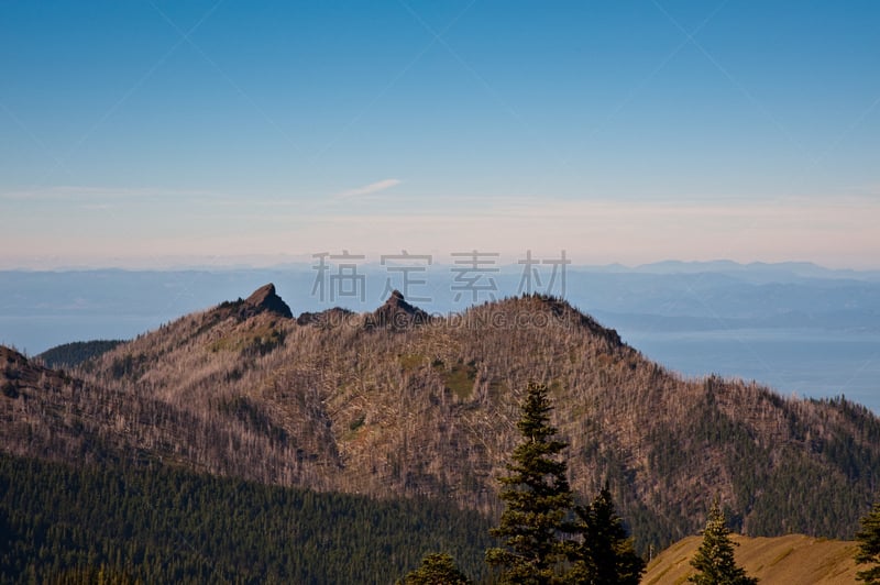 飓风山脊,奥林匹克山脉,奥林匹克山,公园,水平画幅,山,无人,户外,山脊,田地