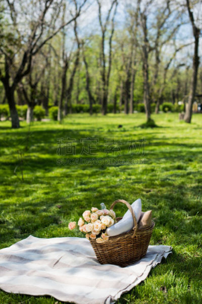 野餐,春天,公园,垂直画幅,野餐篮,留白,无人,膳食,夏天,玫瑰