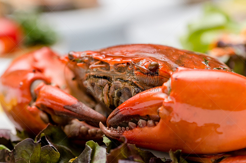 螃蟹,餐具,自然,水平画幅,无人,膳食,海产,香料,肉,盘子