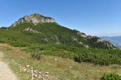 山,罗马尼亚,地形,卡帕锡安山脉,黑云杉,天空,水平画幅,无人,十字形,地肤