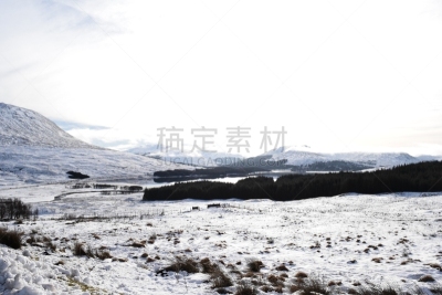 图拉湖,orchy河,桥,宁静,水平画幅,山,雪,无人,苏格兰,偏远的