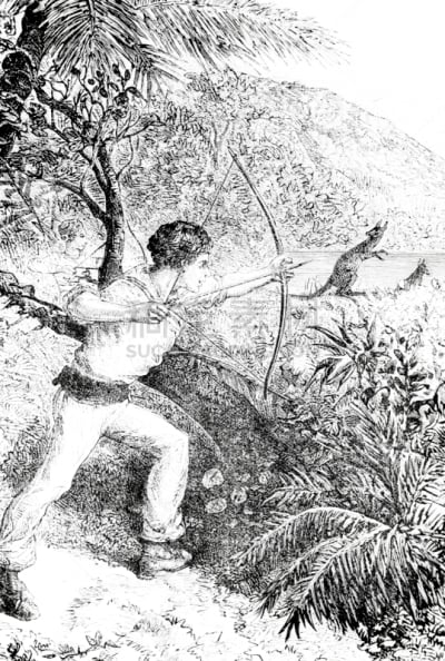袋鼠,绘画插图,动物手,1885,钢笔画,木版画,弓箭,垂直画幅,古典式,野外动物