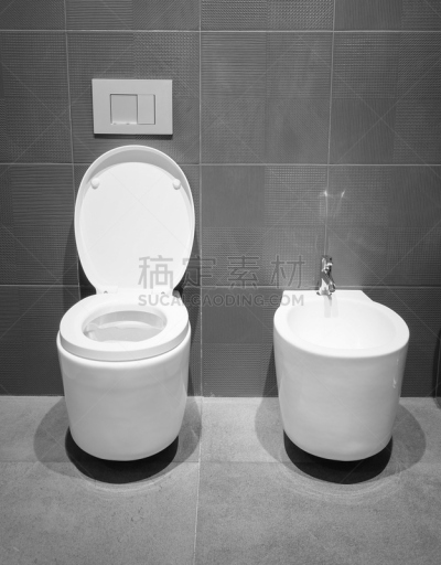 浴室,白色,抽水马桶,垂直画幅,无人,卫生间,现代,拖鞋,瓷器,地板