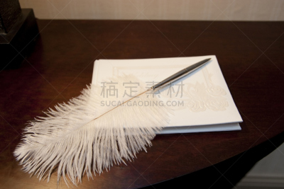 水笔,留言簿,白色,水平画幅,婚礼,彩色图片,木制,无人,倾斜的,结婚宴会