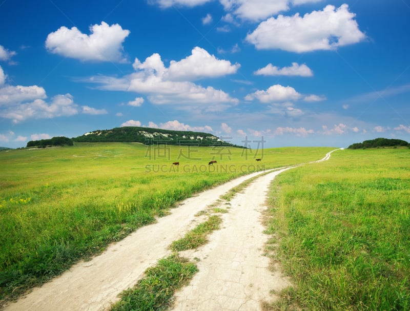 草地,泳道,天空,水平画幅,山,无人,夏天,户外,草,云景