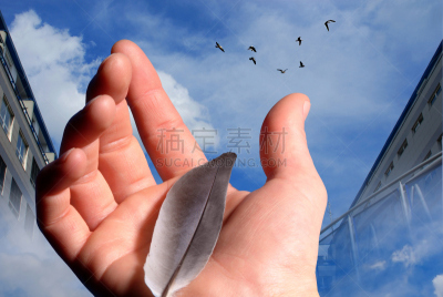 手,羽毛,水平画幅,欲望,鸟类,拿着,背面视角,彩色图片,梦想,支撑