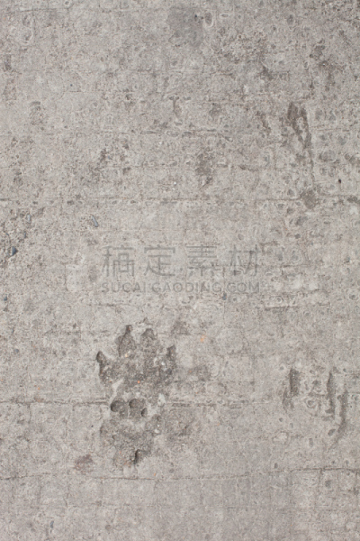 狗,脚印,混凝土,背景,挡板的风格,人的耳朵,雪橇犬,垂直画幅,湿,爪子