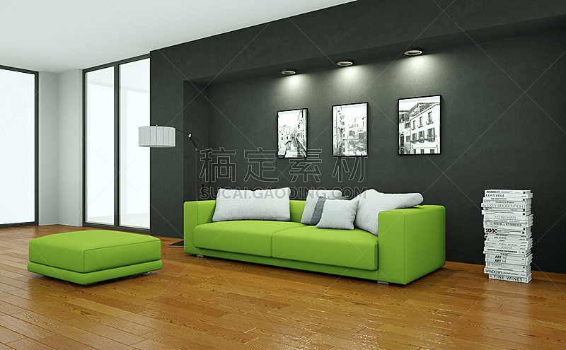 沙发,现代,绿色,明亮,室内设计师,住宅房间,茶几,华贵,砖,小毯子