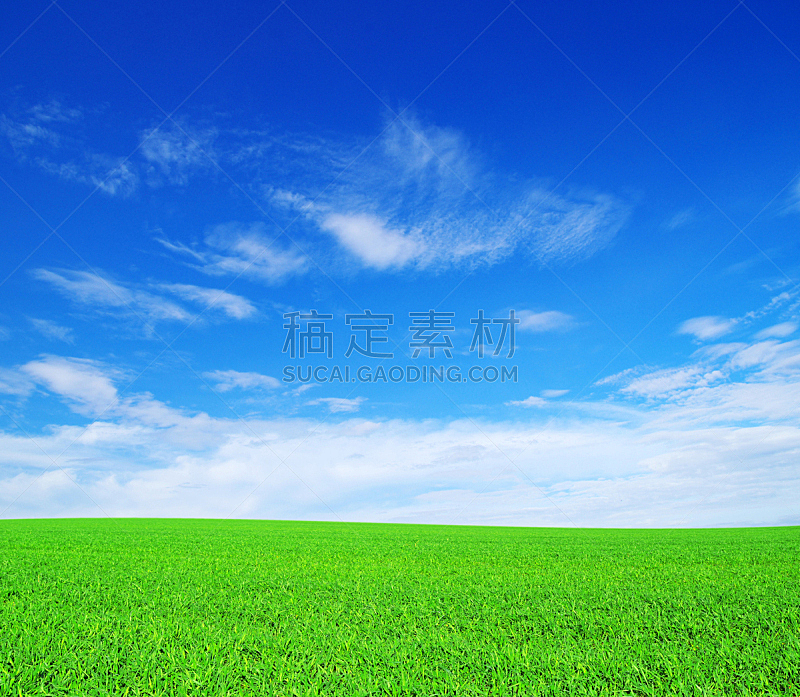 田地,天空,风,水平画幅,无人,草坪,户外,草,植物,地平线