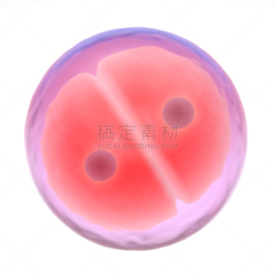 胚胎,绘画插图,三维图形,人体细胞,两只动物,减数分裂,dna净化,精子,dna测试,妇产科医院