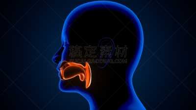 问题,三维图形,健康保健,药,图像,人的嘴,人的头部,喉咙,窦炎