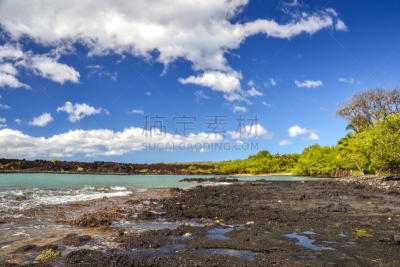 棕榈树,海滩,玛凯那海滩,夏威夷,旅游目的地,熔岩,毛伊岛,洛杉矶县,树,做