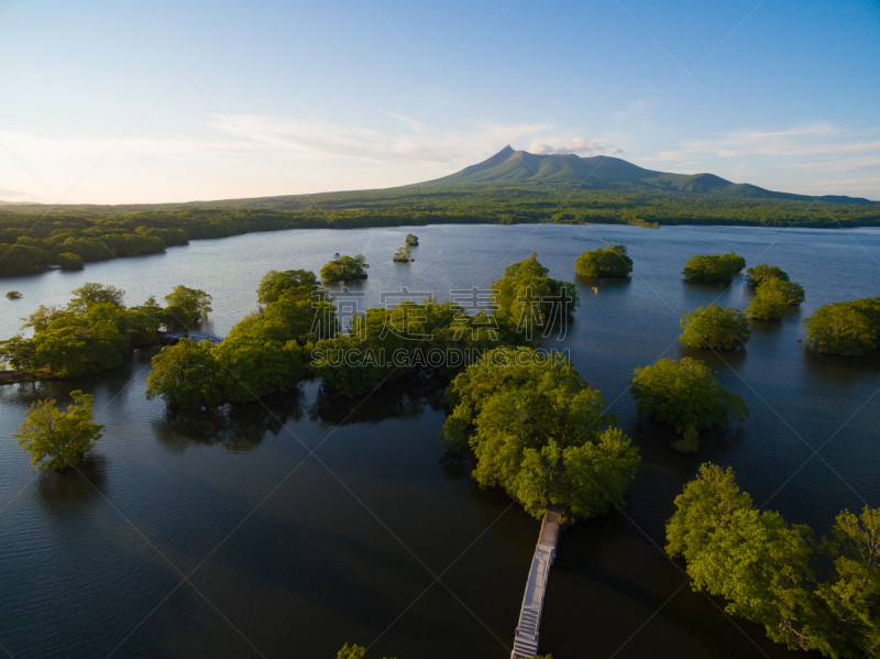 大沼湖,大沼国定公园,枝繁叶茂,湖,夏天,户外,天空,日本,火山,自然