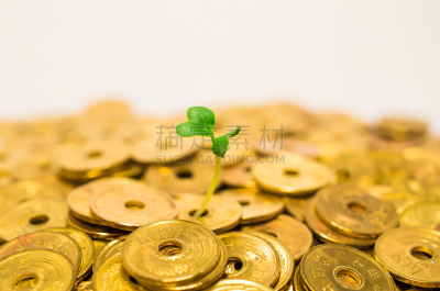 お金を産む植物
