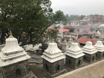 帕苏帕堤拿,加德满都,尼泊尔,寺庙,五只动物,世界遗产,图像,印度教,无人,旅游目的地