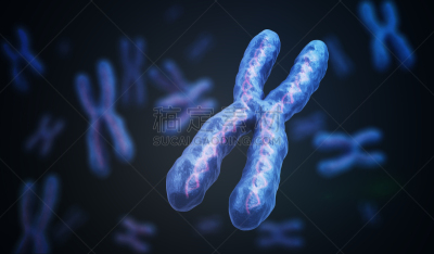 绘画插图,英文字母x,三维图形,染色体,脱氧核糖核酸,遗传研究,概念,生物科技,水平画幅,科学