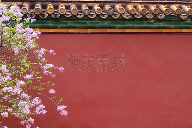花朵,故宫,丁香花,白丁香,国际著名景点,传统,清新,瓷砖,著名景点,涂料