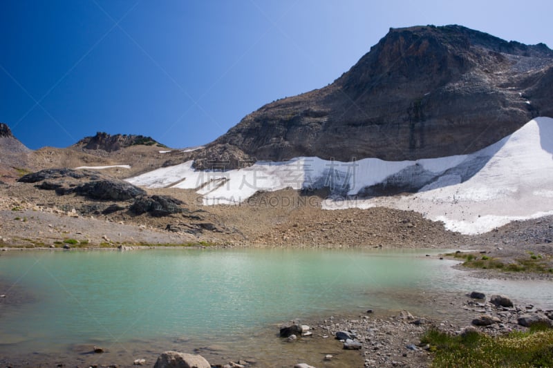 冰河,池塘,雷尼尔雪山,皮尔斯县,天空,水平画幅,雪,无人,夏天,户外