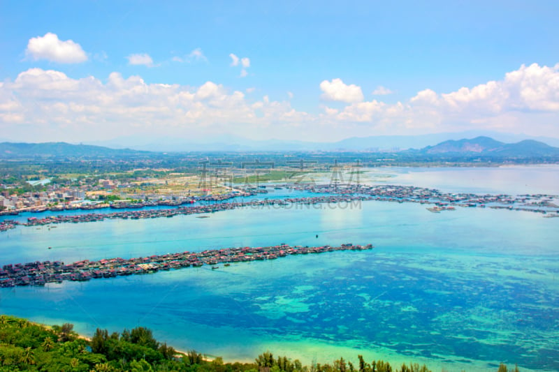 棕榈树,海洋,白沙国家纪念馆,在上面,风景,青绿色,看风景,自然美,威尼斯礁湖,热带气候