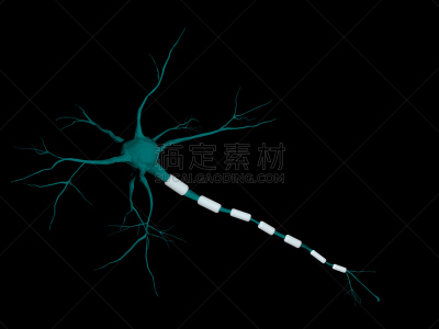 三维图形,神经元,脑风暴,细胞核,神经系统,水平画幅,形状,智慧,绘画插图,科学