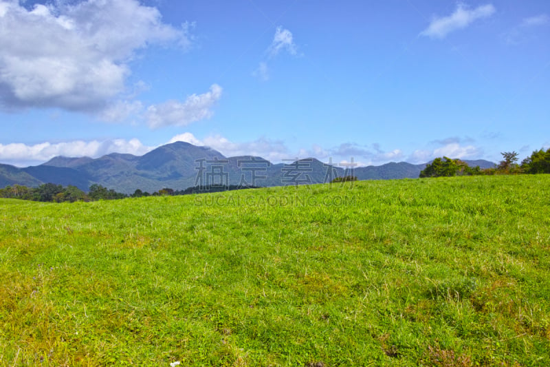 轻井泽町,北岳山,大农场,浅间山火山,群马县,草地,草原,旅游目的地,水平画幅,山