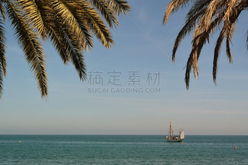 海洋,西班牙,棕榈叶,客船,背景,马拉加省,自然,水平画幅,无人,草