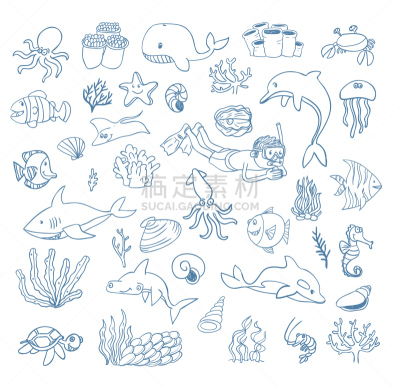 绘画插图,卡通,矢量,乱画,海洋生命,水,海马,符号,水下,夏天