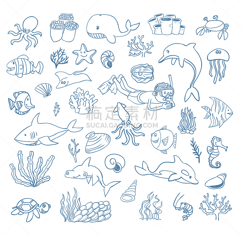 绘画插图,卡通,矢量,乱画,海洋生命,水,海马,符号,水下,夏天