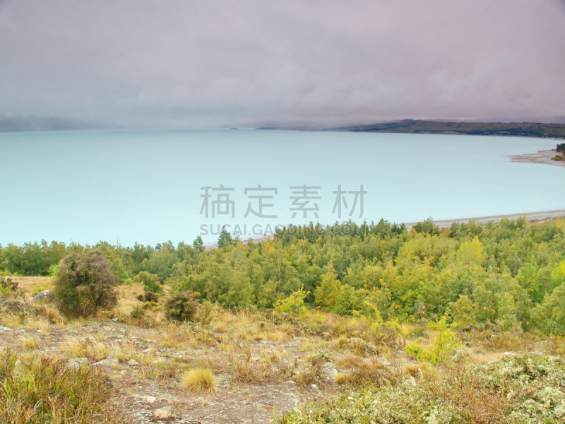 普卡基湖,水,水平画幅,旅行者,户外,湖,云景,雨,山,新西兰南岛