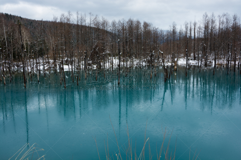 蓝色,冻结的,池塘,美瑛町,开端,贺卡,水平画幅,雪,消息,无人