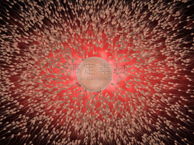 精子,卵子,人类兹戈特,人工授精,孕检,细胞核,显微镜,生物科技,水平画幅,微生物学
