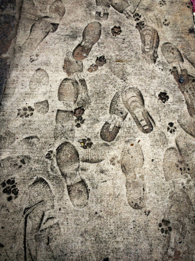 脚印,狗,水泥地,平衡折角灯,垂直画幅,式样,形状,抽象,湿,人