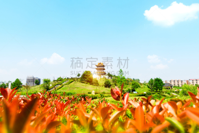 承德,荷花,宫殿,度假胜地,池塘,亭台楼阁,巨大的,湖,山,中国